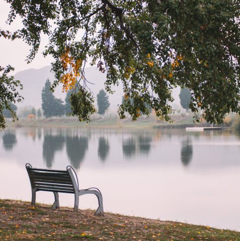 Bench_On_The_Shore_original_850451